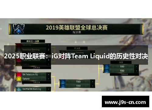 2025职业联赛：iG对阵Team Liquid的历史性对决